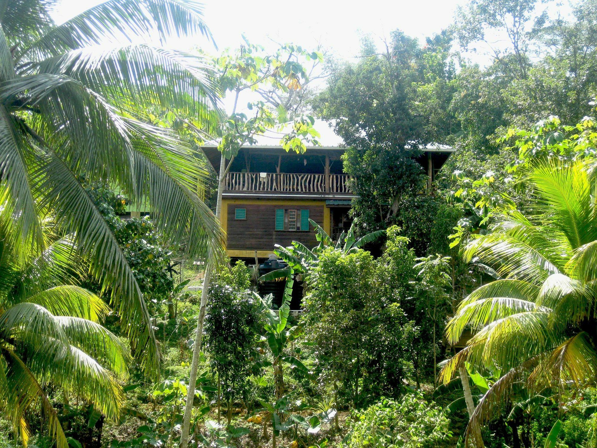 Zimbali Culinary Retreats Negril Exterior foto