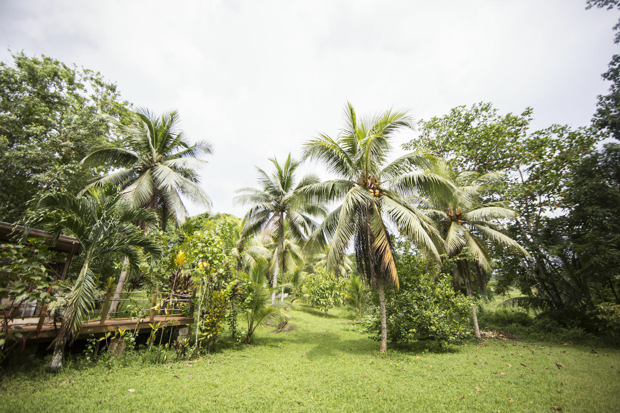 Zimbali Culinary Retreats Negril Exterior foto